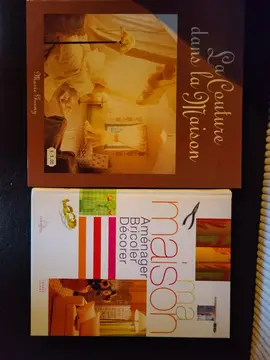 2 livres bricolage loisirs créatifs