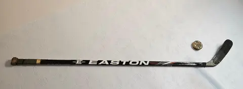 crosse hockey sur glace