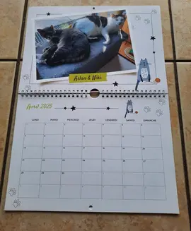 calendrier pour photo chat