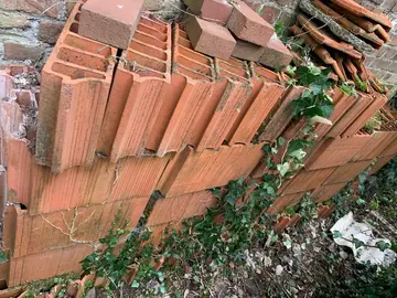 Donne lot de ourdis rouge