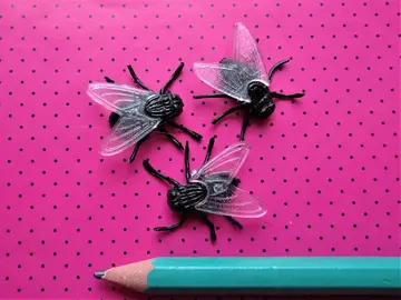 LOT TROIS MOUCHES PLASTIQUE