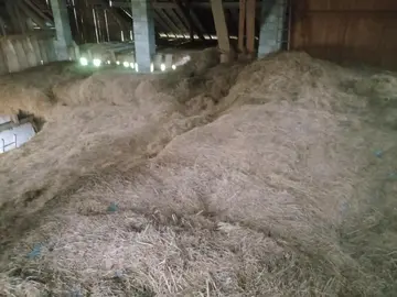 foin en vrac et petit fagot