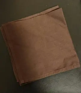 2 petits torchons en coton marron (30x30)