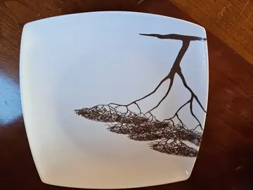 assiettes plastiques