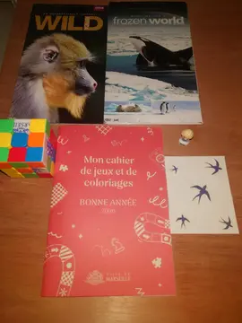 pour enfant 2 DVD animaux cahier coloriage fève Elsa tatouage éphémère cube