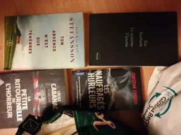 Livres policiers, littérature divers
