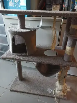 arbre à chat