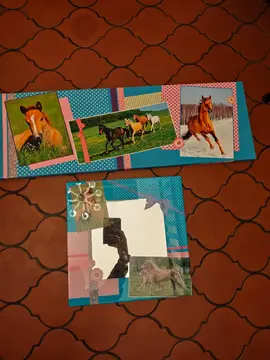cadre et miroir cheval