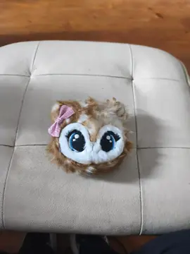 Bonjour, je donne deux porte monnaie