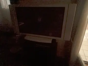 grande télé plasma .. elle fonctionnait ..