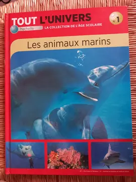 l'univers marin
