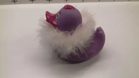 Canard en plastique coquet