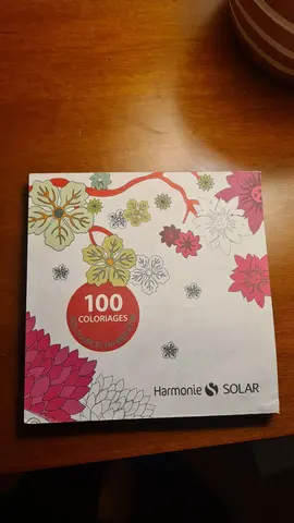 100 coloriages format origami