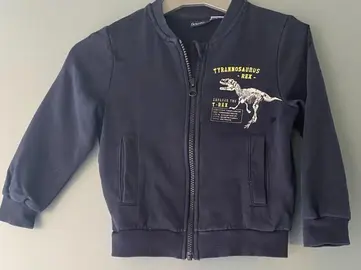 Veste Dino T.104 ou 24 mois
