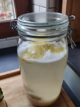 kéfir d'eau et fruits