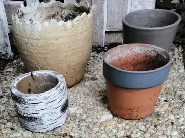 Petits pots