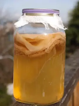 mere pour KOMBUCHA