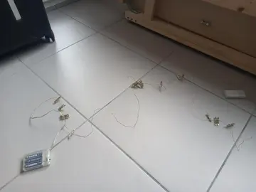 Guirlande lumineuse photo