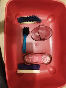 brosse à cheval