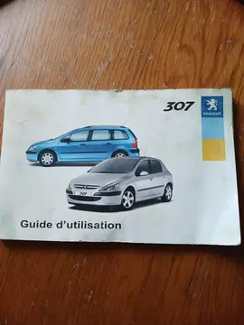 guide d’utisation Peugeot 307 ( 2002)