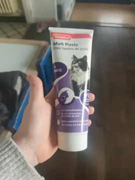 pâte boule de poil