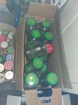 donne bocaux, grands, moyens, petits