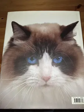 grand livre sur les chats