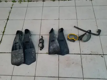 Palmes + masques + tubas