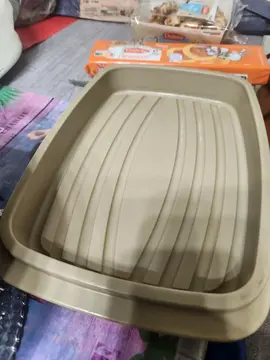 plat tupperware pour décongélation