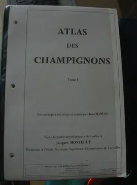 atlas des champignons