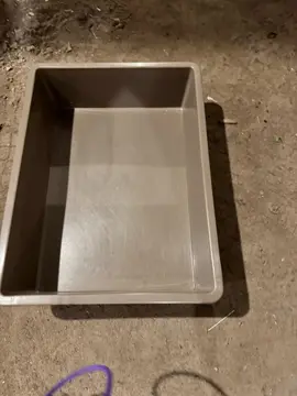 bac à litière pour petit chat