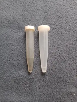 tube pour composition florale