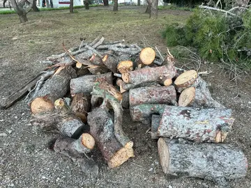 bois de pin à donner