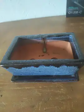 petit pot pour plante