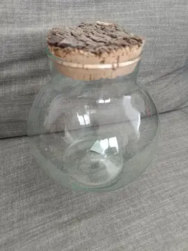 terrarium pour plantes