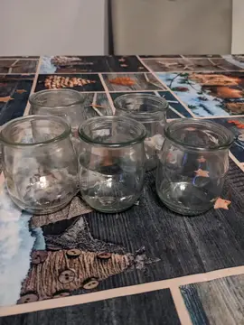 lot de pot à yaourt