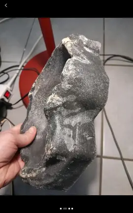 bac résine pour reptile