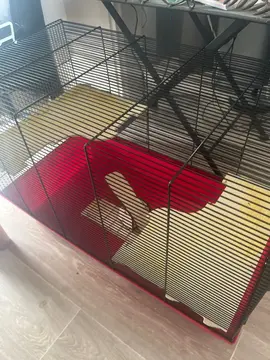 cage pour petit rongeur 65x35x45