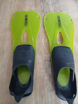 palmes chaussantes taille 37/38