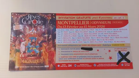 Invitation 4 personnes "Rêves de cirque"