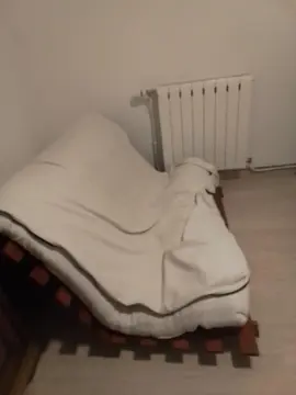 lit sommier, canapé convertible, meuble de rangement, lampe luminotherapie, ballon pilate et tapis