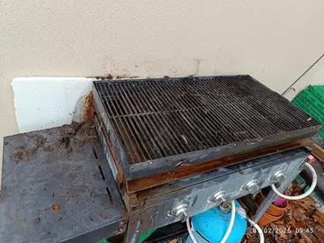 Barbecue et plancha à gaz