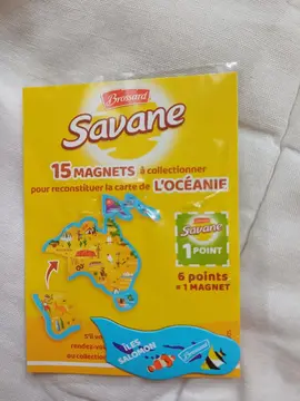 Magnet/Aimant Savane - Îles Salomon