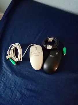 2 souris d'ordinateur