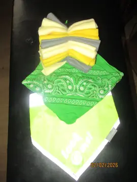 donne 2 bandana et des lingette pour chien