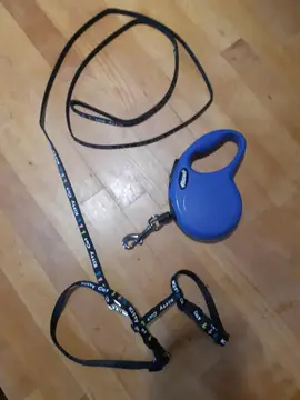 Laisse déroulante pour petit chien ou chat