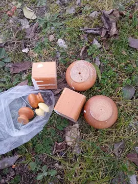 pied de meuble en pin