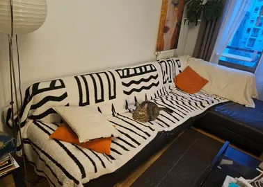 Grand canapé angle en cuir confortable idéal plaid