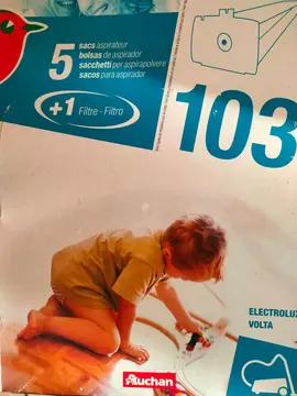 12 sacs pour aspirateur Electrolux