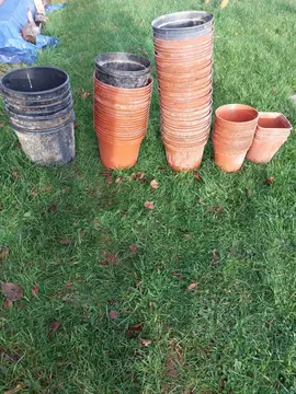 Pot plastiques pour semis